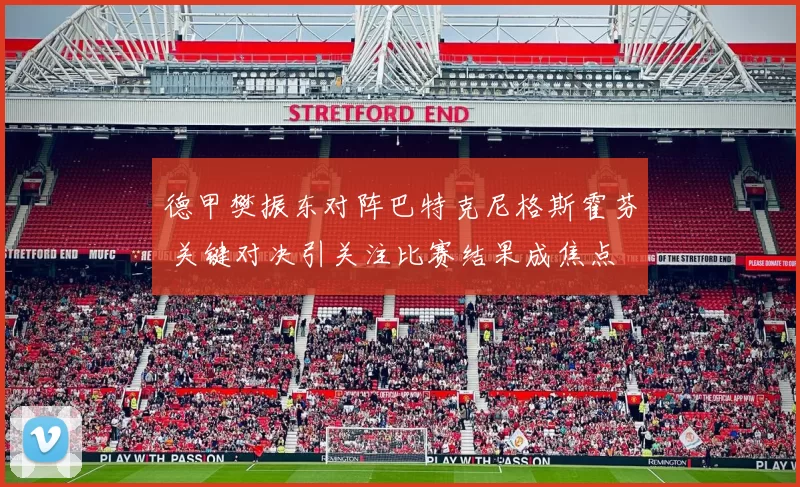 德甲樊振东对阵巴特克尼格斯霍芬 关键对决引关注比赛结果成焦点